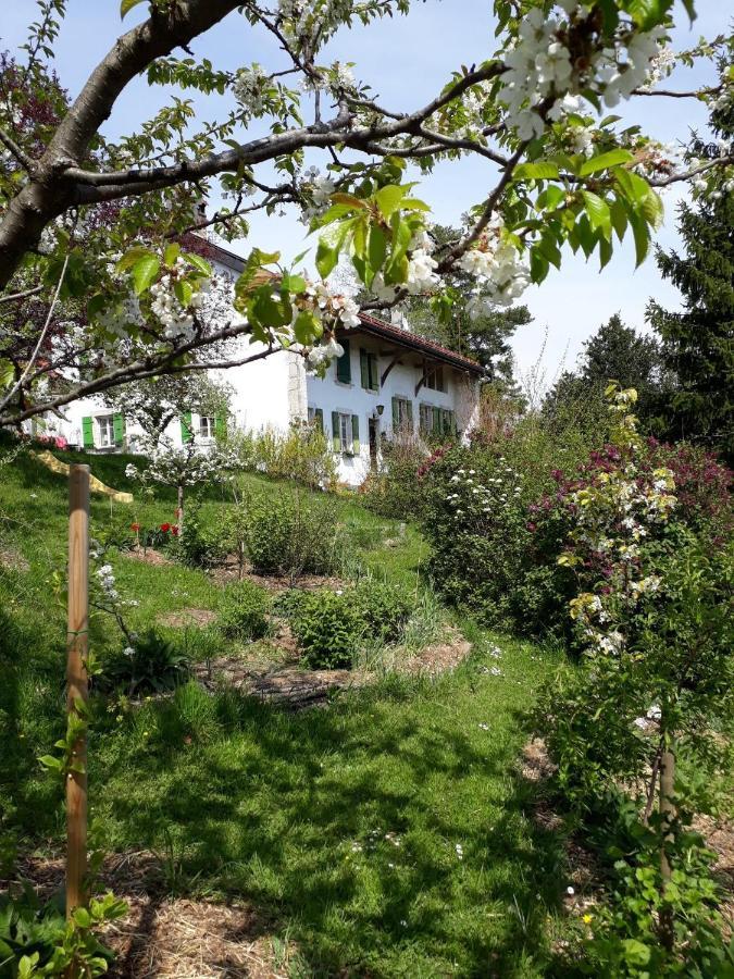 Chez Cathy Bed & Breakfast Arzier Luaran gambar